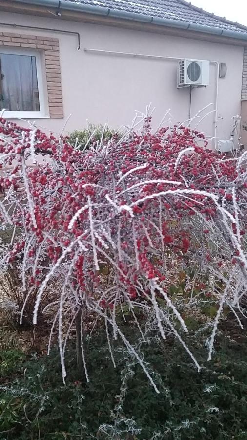Edenkert Apartmanhaz Kisvarda